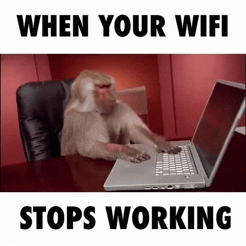 a GIF of a money tapping a computer; above and below the GIF, it says, "When your WIFI stops working"